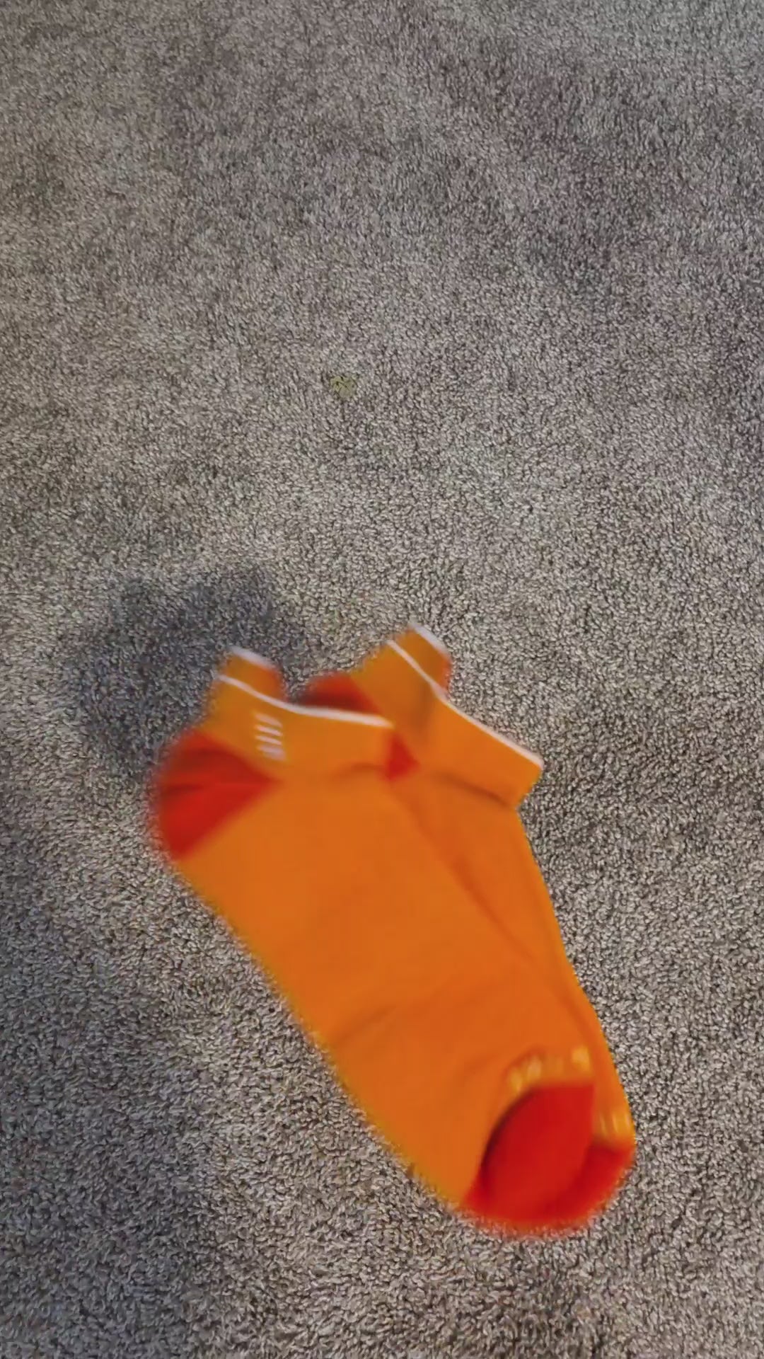 Orange Kingfisher | Copper + Merino Wool Socks for Fresher Feet